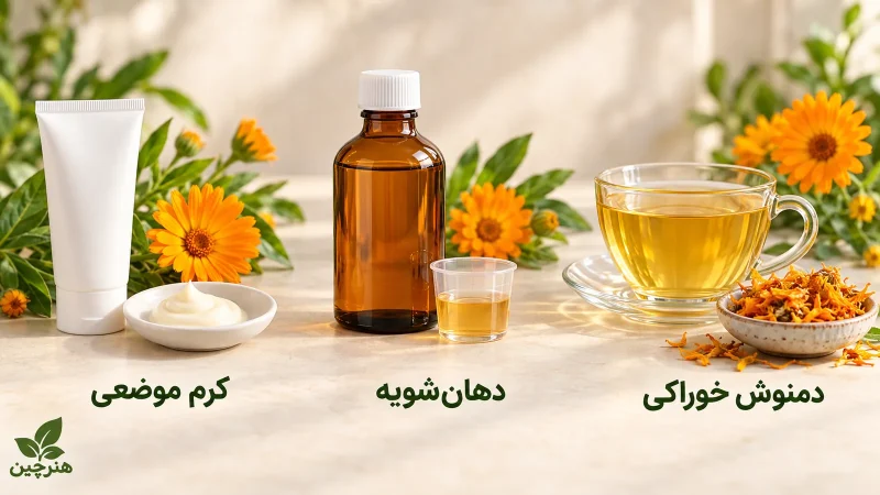 مقایسه دمنوش خوراکی، دهان‌شویه و کرم موضعی گل همیشه‌بهار
