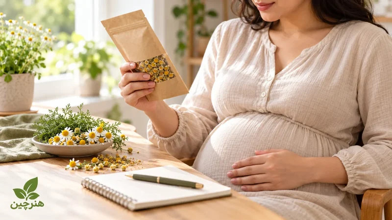 آیا مصرف بابونه در دوران بارداری مجاز است؟ بررسی علمی