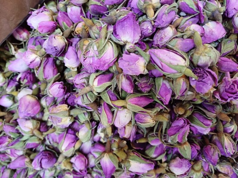 گل های سرخ چیده شده