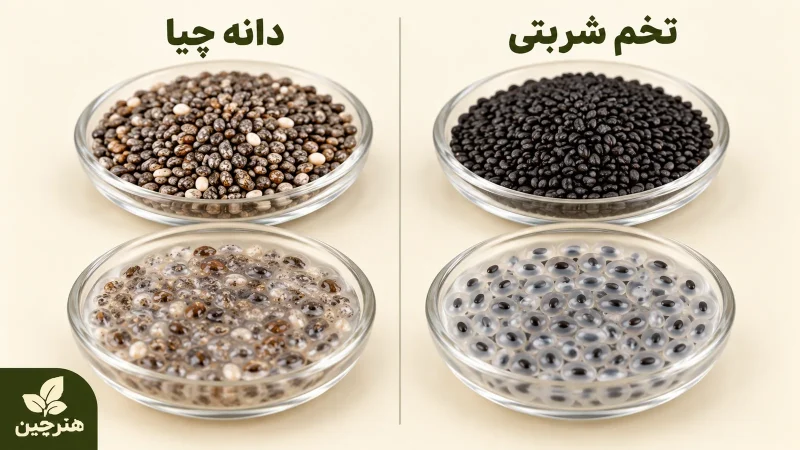 مقایسه ظاهری تخم شربتی و چیا در حالت خشک و خیس‌خورده