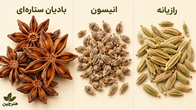 مقایسه ظاهری دانه رازیانه، انیسون و میوه بادیان ستاره‌ای