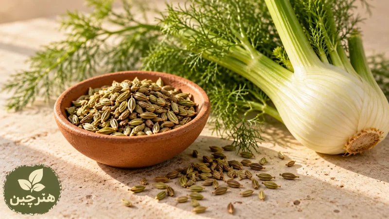 رازیانه چیست؟ خواص، طبع گرم و خشک، انواع و روش مصرف