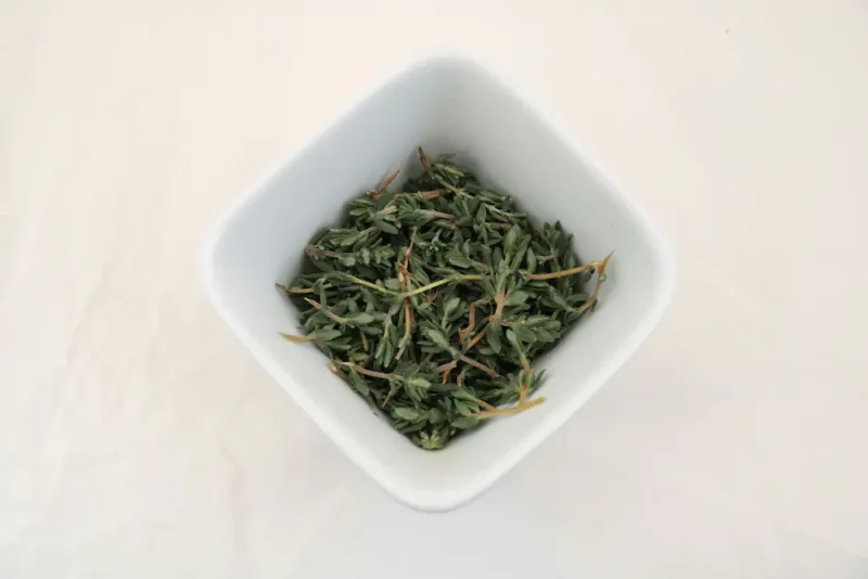 برگ های سبز آویشن با مصارف دارویی