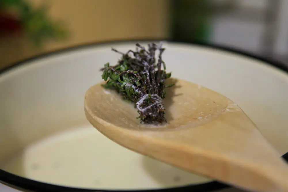 مصرف اویشن برای گلو درد و سرفه