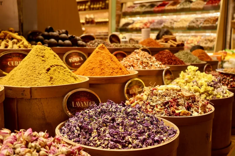 ادویه ماسالا چیست؛ راهنمای کامل خواص، طبع، کاربردها