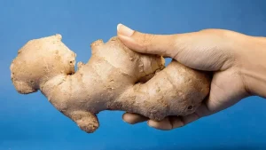 زنجبیل با طبع گرم و خواص زیاد برای سرما خودگی