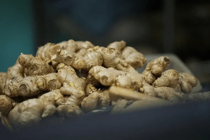 زنجبیل به صورت فله که مصرف آن برای برخی می تواند ضرر داشته باشد