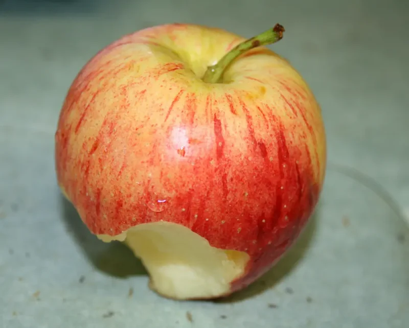 یک سیب گاز زده ترد قرمز با فواید بسیار