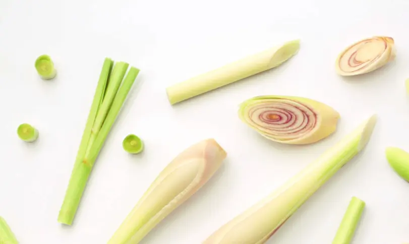 ساقه برش خورده علف لیمو برای استفاده