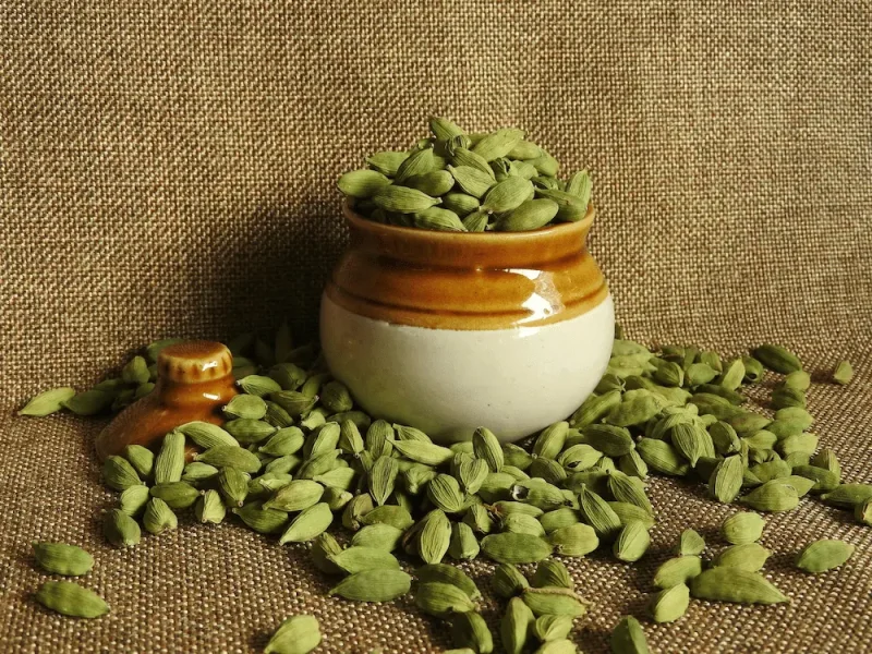 دانه های هل لا خواص مفید برای بود دهان