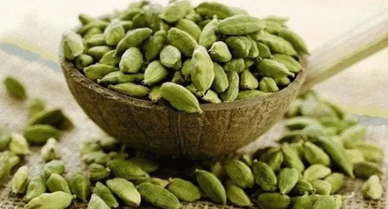 دانه های سبزهل در کاسه