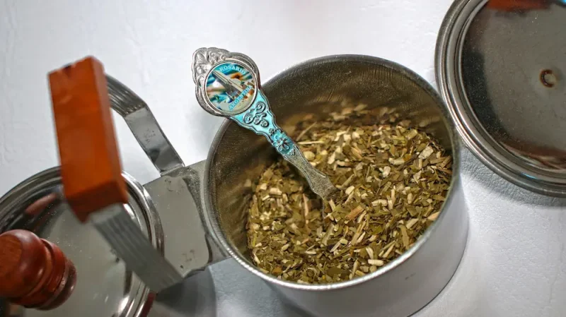 برگ های یربا ماته دارای کافئین و ترکیبات مفید برای بالا بردن انرژی