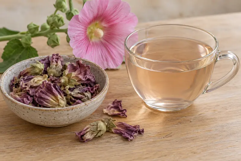 دمنوش ملایم گل ختمی در کنار گلهای خشک Alcea rosea