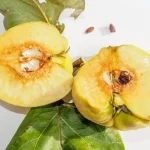 دانه به یا به‌دانه با خواص درمانی برای گلو