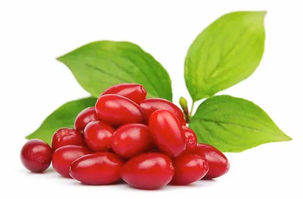 میوه و برگ میوه کرنل چری 