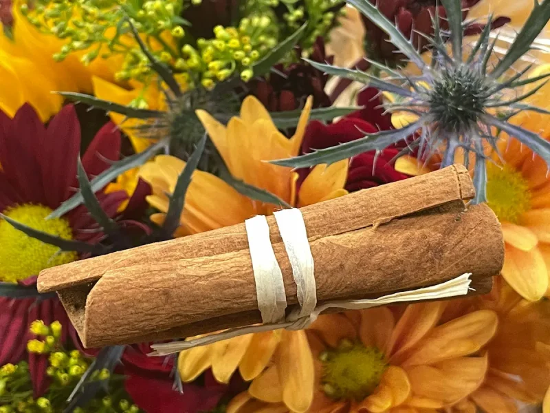 رول چوب دارچین