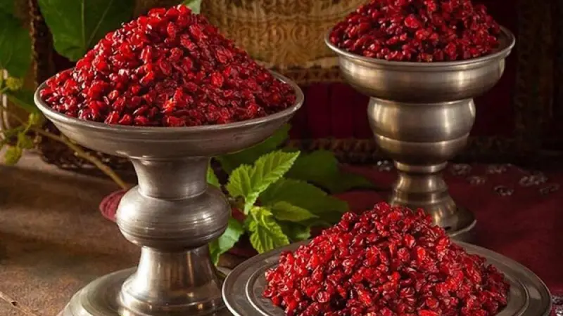 زرشک گیاهی با خواص آنتی اکسیدان فوق العاده