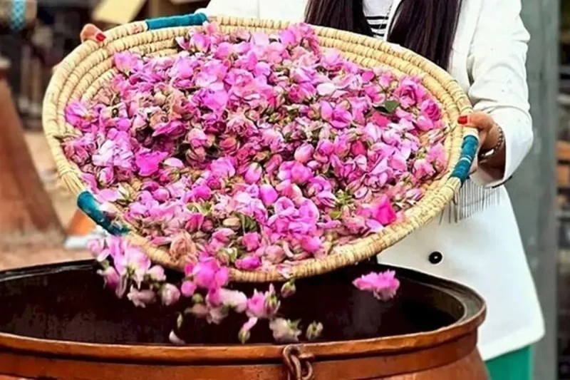 کاربرد ها و موارد مصرف گلاب