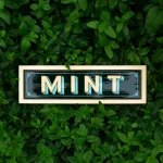 نعناع و خاصیت ضد تهوع