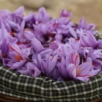 زعفران با خواص شادی آور