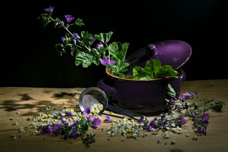 پنیرک که با آن در خوزستان توله گفته می شود