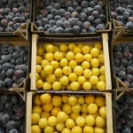 آلو بخارا میوه ای با خواص فوق العاده