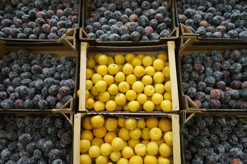 آلو بخارا میوه ای با خواص فوق العاده