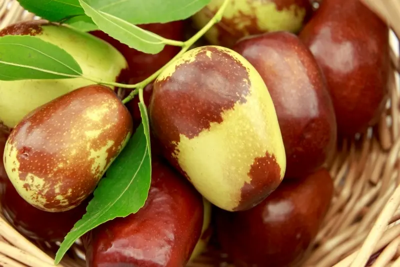 میوه تازه عناب
