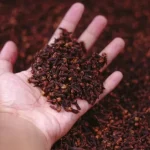 میخک به عنوان ادویه یا گیاه دارویی با خواص اعجاب انگیز