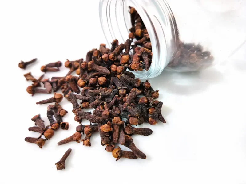 میخک به عنوان ادویه 