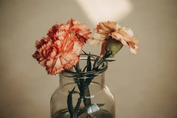 گل های زیبای رنگی در پارچ