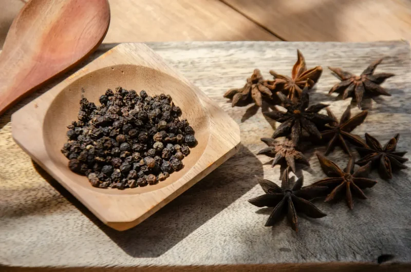 بادیان یکی از ادویه جات مفید برای بدن