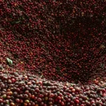 قهوه چری از میوه قهوه گرفته می شود