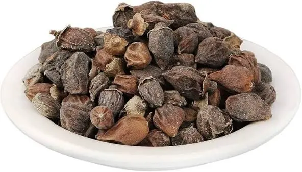 سپستان خشک