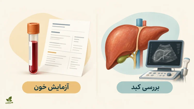 تصویر آموزشی تفاوت آزمایش خون با بررسی خود کبد به کمک دستگاه